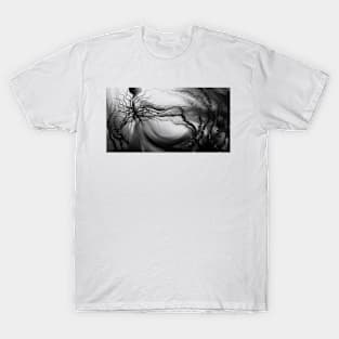 Aura Atrum (White) T-Shirt